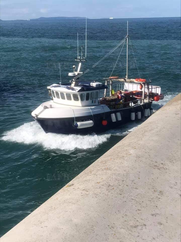 Kingfisher fastcatch