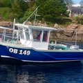Extra picture for advert 105951